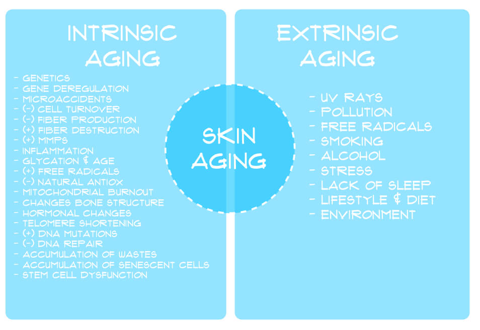 Fight The Signs of Aging with Our Super Powerful Tripeptide Triple (Wrinkle Defense) Face Serum